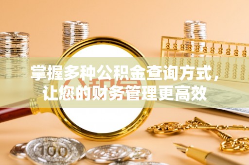 依安掌握多种公积金查询方式，让您的财务管理更高效