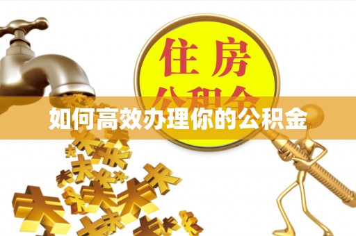 依安如何高效办理你的公积金