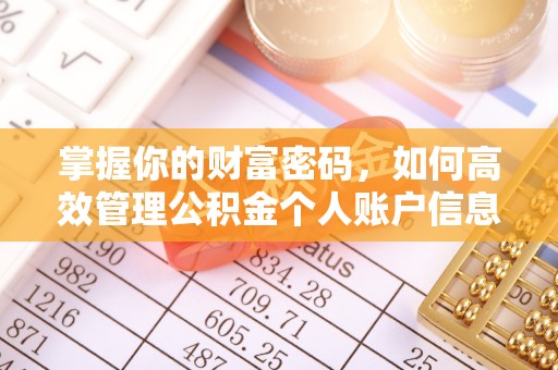 依安掌握你的财富密码，如何高效管理公积金个人账户信息