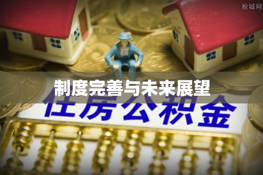 依安制度完善与未来展望