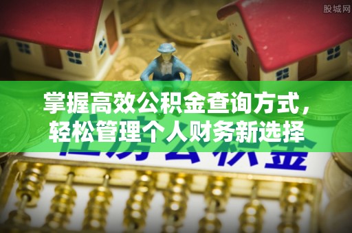 依安掌握高效公积金查询方式，轻松管理个人财务新选择