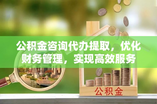 依安公积金咨询代办提取，优化财务管理，实现高效服务