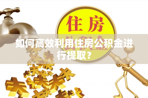 依安如何高效利用住房公积金进行提取？