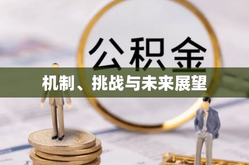 依安机制、挑战与未来展望